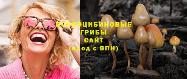 винт Абинск