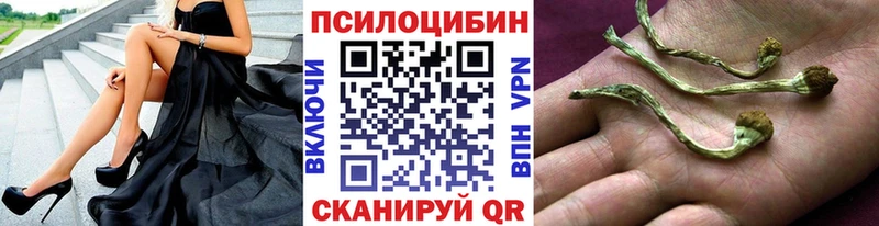 где можно купить shop состав Галлюциногенные грибы Psilocybine cubensis Задонск