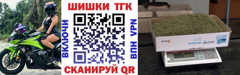 Конопля сатива  Задонск 